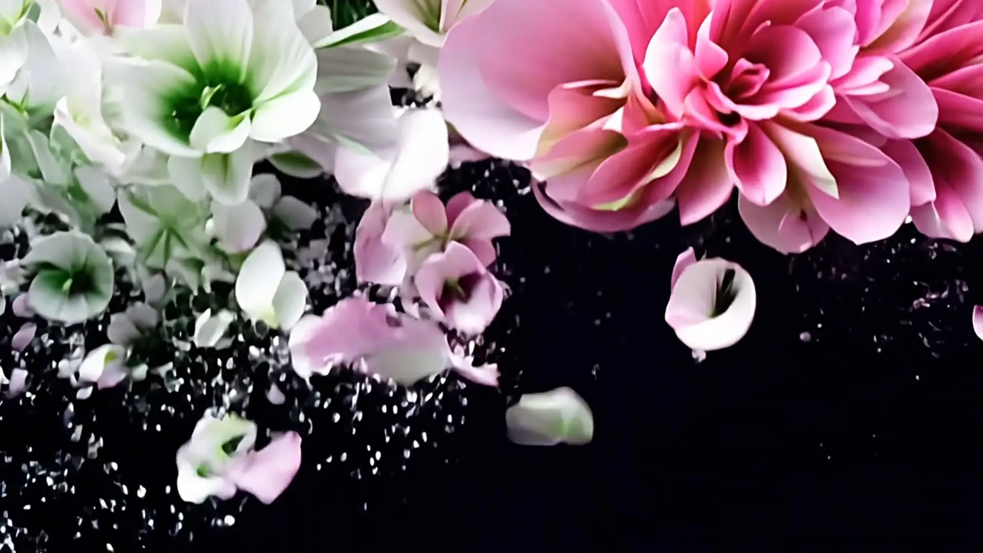 Soft Pink Flowers Transition for Romantic Video Projects